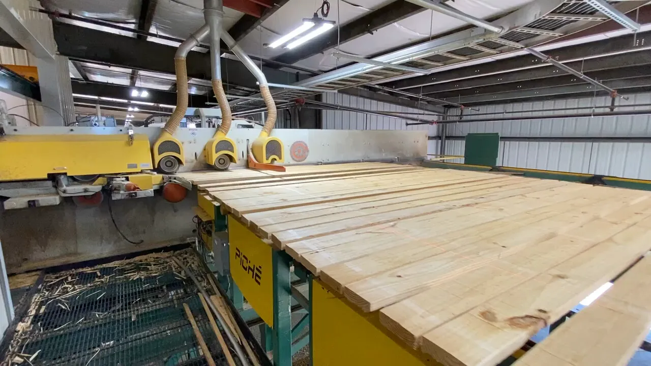 HARRIGAN HALVES SYP PRODUCTION